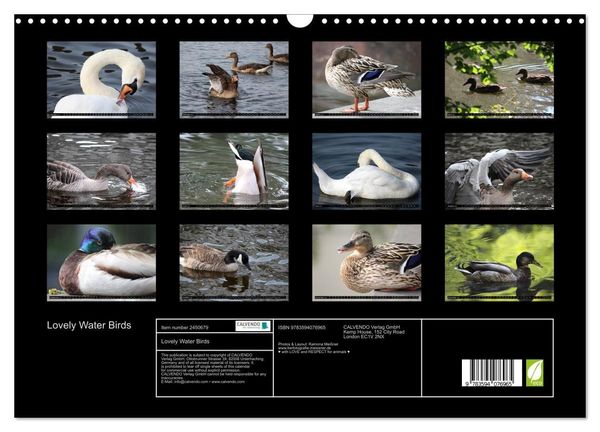 Produktbild: Lovely Water Birds (Wall Calendar 2027 DIN A3 landscape), CALVENDO 12 Month Wall Calendar