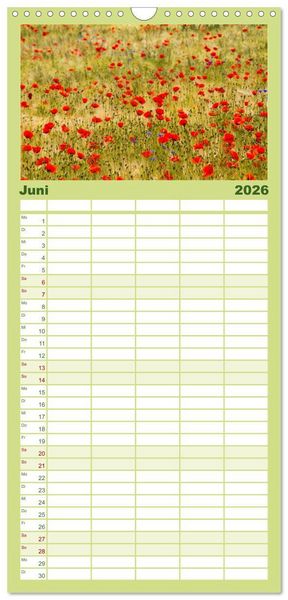 Produktbild: Familienplaner 2026 - Die Insel Usedom in Bildern mit 5 Spalten (Wandkalender, 21 x 45 cm) CALVENDO