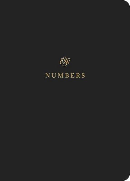 Produktbild: ESV Scripture Journal