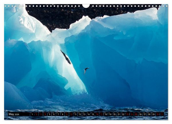 Produktbild: Impressions of Svalbard (Wall Calendar 2026 DIN A3 landscape), CALVENDO 12 Month Wall Calendar