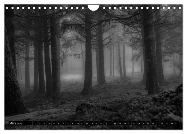 Produktbild: Stille Momente in Schwarz-Weiss (Wandkalender 2026 DIN A4 quer), CALVENDO Monatskalender