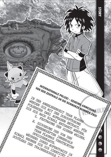Produktbild: Pok&eacute;mon Schwarz 2 und Weiss 2 02
