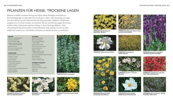 Produktbild: Die neue Gartenschule