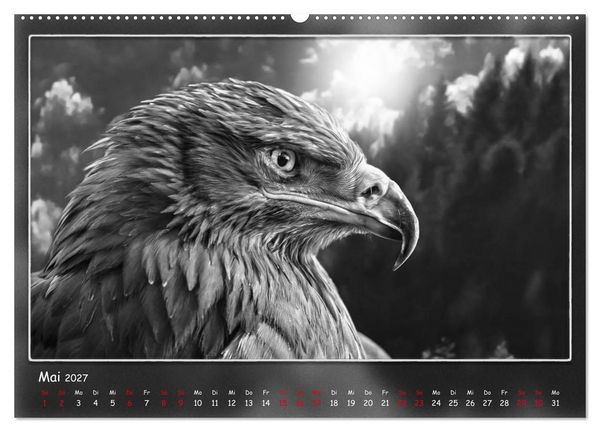 Produktbild: Tieren ins Gesicht geschaut (hochwertiger Premium Wandkalender 2027 DIN A2 quer), Kunstdruck in Hochglanz