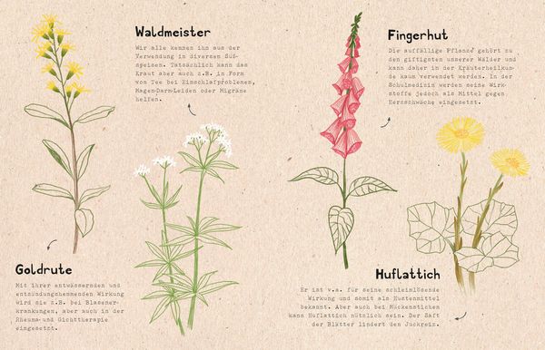 Produktbild: natur-verliebt