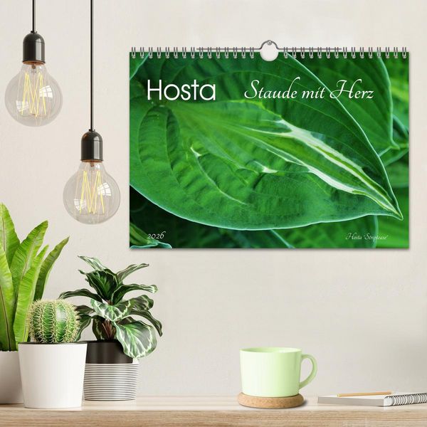 Produktbild: Hosta Staude mit Herz (Wandkalender 2026 DIN A4 quer), CALVENDO Monatskalender