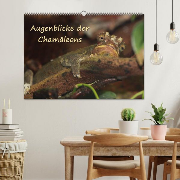 Produktbild: Augenblicke der Cham&auml;leons (Wandkalender 2026 DIN A2 quer), CALVENDO Monatskalender