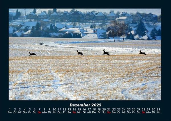 Produktbild: Bilder der Natur 2025 Fotokalender DIN A4