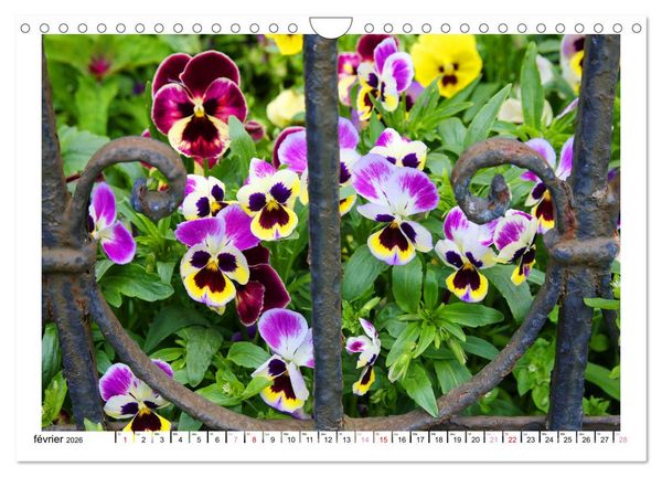 Produktbild: &Agrave; la cl&ocirc;ture du jardin (Calendrier mural 2026 DIN A4 vertical), CALVENDO calendrier mensuel