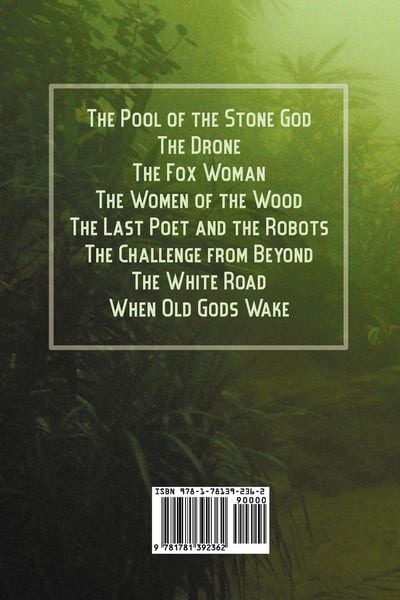 Produktbild: The Pool of the Stone God and Other Tales