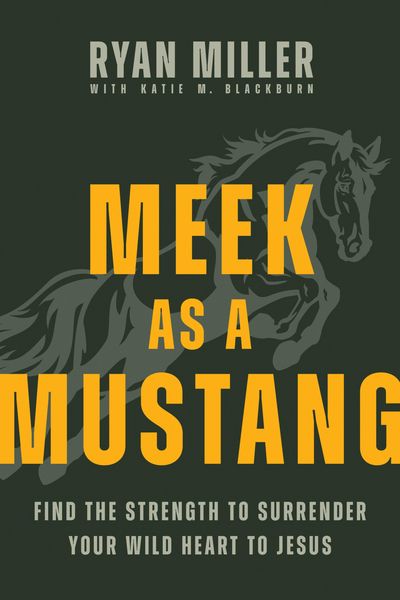 Produktbild: Meek as a Mustang