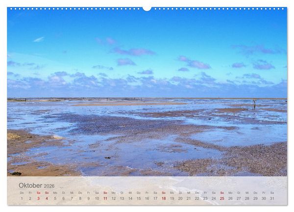 Produktbild: Salzwiesen, Schafe und Watt - Westerhever, ein Naturparadies an der Nordsee (hochwertiger Premium Wandkalender 2026 DIN A2 quer), Kunstdruck in Hochglanz