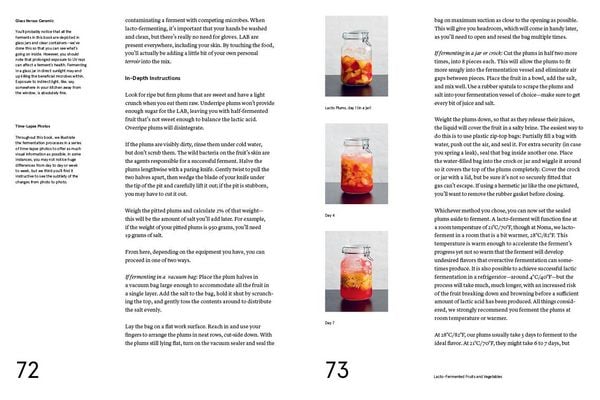 Produktbild: Foundations of Flavor: The Noma Guide to Fermentation