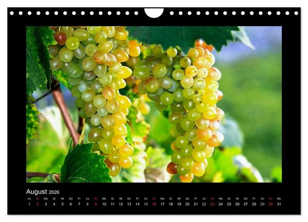 Produktbild: Wein - Reben, Wingerte und historische Weinkeller (Wandkalender 2026 DIN A4 quer), CALVENDO Monatskalender