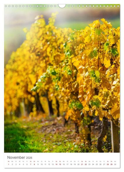 Produktbild: Weinjahr (Wandkalender 2026 DIN A3 hoch), CALVENDO Monatskalender