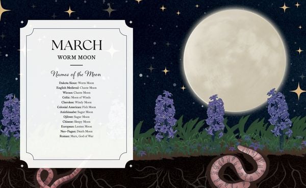 Produktbild: The Full Moon Yearbook