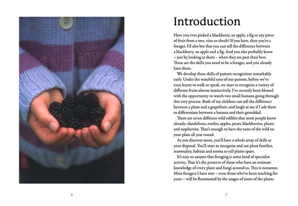 Produktbild: The First-Time Forager