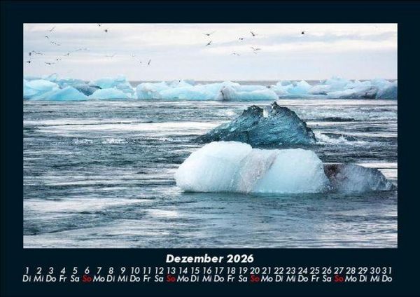 Produktbild: V&ouml;gel 2026 Fotokalender DIN A5