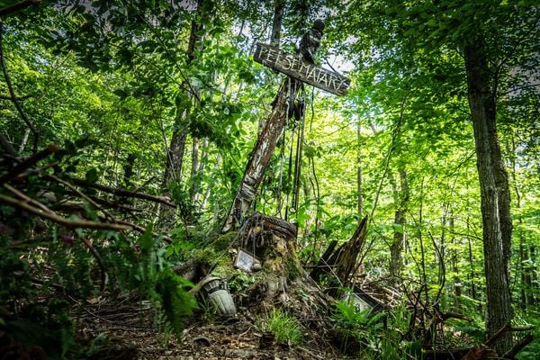 Produktbild: Friedhof der Kuscheltiere