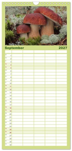 Produktbild: Familienplaner 2027 - Pilze - tolle Funde mit 5 Spalten (Wandkalender, 21 x 45 cm) CALVENDO