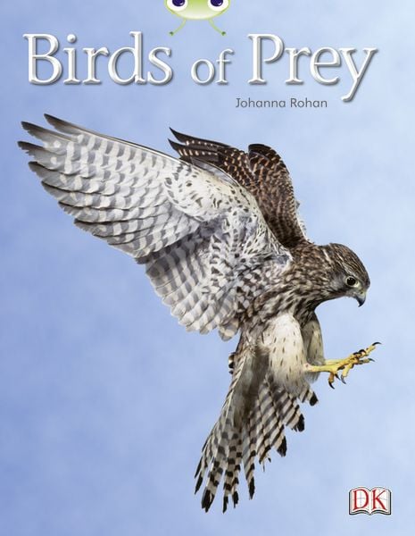 Produktbild: Bug Club Independent Non Fiction Year Two White A Birds of Prey