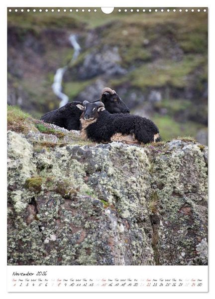 Produktbild: Iceland Calendar 2026 - Discover unique nature - UK Version (Wall Calendar 2026 DIN A3 portrait), CALVENDO 12 Month Wall Calendar