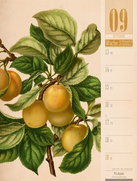 Produktbild: Culinarium Wochenplaner Kalender 2027 | K&uuml;che, Kr&auml;uter, Kurioses