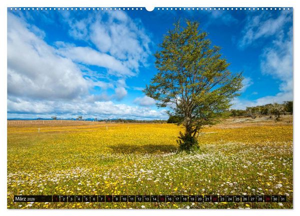 Produktbild: Patagonien und Feuerland (Wandkalender 2026 DIN A2 quer), CALVENDO Monatskalender