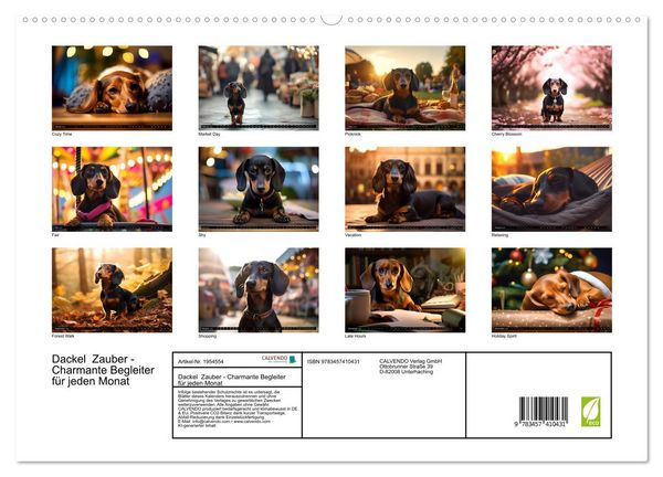Produktbild: Dackel Zauber - Charmante Begleiter f&uuml;r jeden Monat (hochwertiger Premium Wandkalender 2026 DIN A2 quer), Kunstdruck in Hochglanz