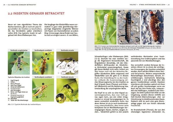 Produktbild: Wildbienen haben es auch nicht leicht
