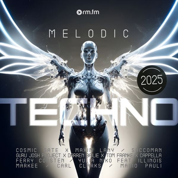 Produktbild: Melodic Techno 2025, 1 Schallplatte