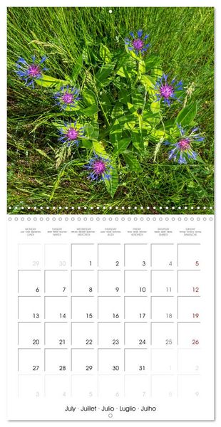 Produktbild: Harmonie Florale Des Pr&eacute;s aux Villes (Calendrier mural carr&eacute; 2026 30x30 cm) Calendrier double avec une page pour vos prises de notes