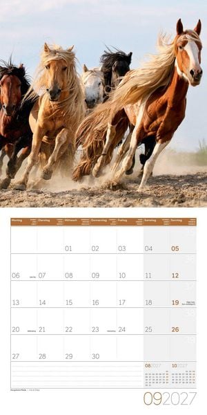 Produktbild: Pferde Kalender 2027 - 30x30 - Art12
