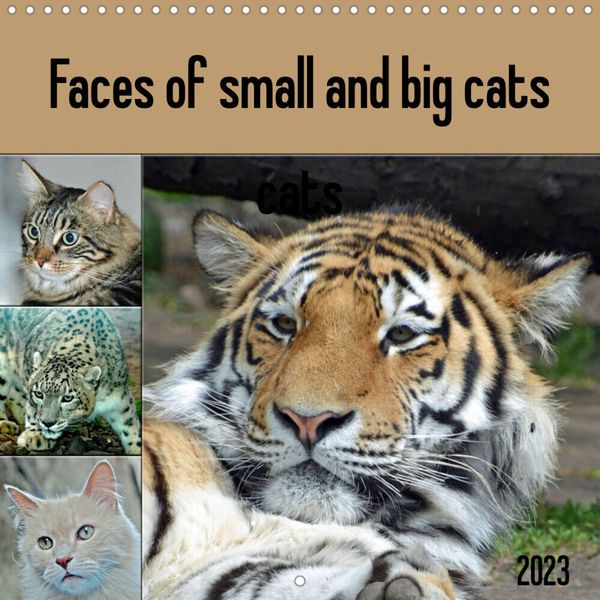 'Faces of small and big cats (Wall Calendar 2023 300 × 300 mm Square