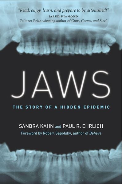 Produktbild: Jaws