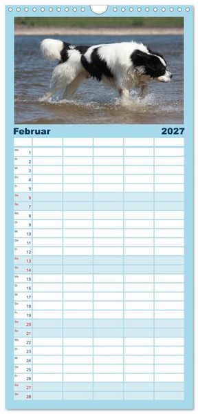 Produktbild: Familienplaner 2027 - Landseer - Das Wasser ist ihr Element mit 5 Spalten (Wandkalender, 21 x 45 cm) CALVENDO