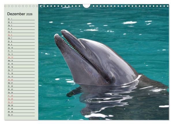 Produktbild: Leben in den Weltmeeren. Delfine, Wale und Haie (Wandkalender 2026 DIN A3 quer), CALVENDO Monatskalender