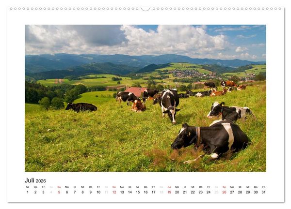 Produktbild: Schwarzwald 2026 (Wandkalender 2026 DIN A2 quer), CALVENDO Monatskalender