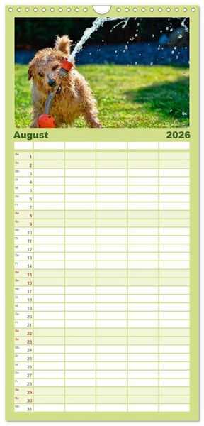 Produktbild: Familienplaner 2026 - Lustig und verr&uuml;ckt - der ganz andere Tierkalender mit 5 Spalten (Wandkalender, 21 x 45 cm) CALVENDO
