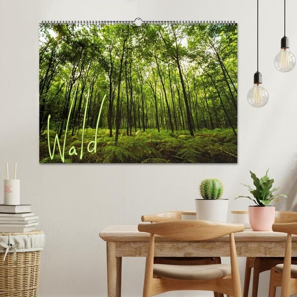 Produktbild: Wald (Wandkalender 2026 DIN A2 quer), CALVENDO Monatskalender