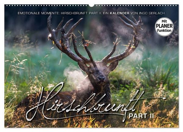 Produktbild: Emotionale Momente: Hirschbrunft. Part II. (Wandkalender 2026 DIN A2 quer), CALVENDO Monatskalender