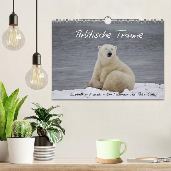 Produktbild: Arktische Tr&auml;ume - Eisb&auml;ren in Kanada (Wandkalender 2026 DIN A4 quer), CALVENDO Monatskalender