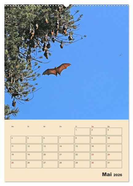 Produktbild: Sri Lanka - Terminplaner (Wandkalender 2026 DIN A2 hoch), CALVENDO Monatskalender