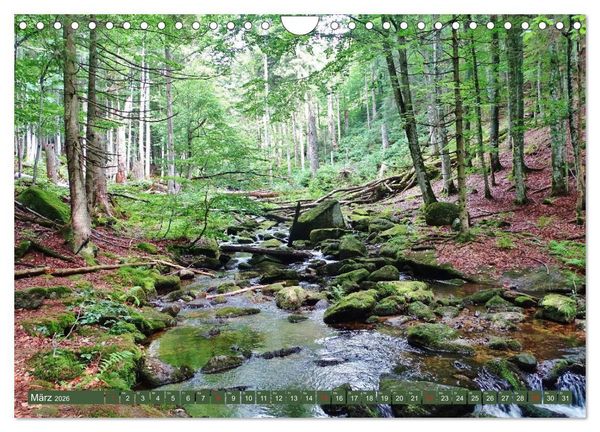 Produktbild: Wandererlebnisse im Bayrischen Wald (Wandkalender 2026 DIN A4 quer), CALVENDO Monatskalender