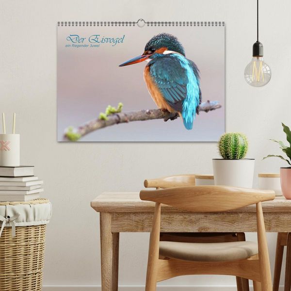Produktbild: Der Eisvogel (Wandkalender 2026 DIN A3 quer), CALVENDO Monatskalender