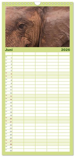 Produktbild: Familienplaner 2026 - Tierische Gl&uuml;cksmomente mit 5 Spalten (Wandkalender, 21 x 45 cm) CALVENDO