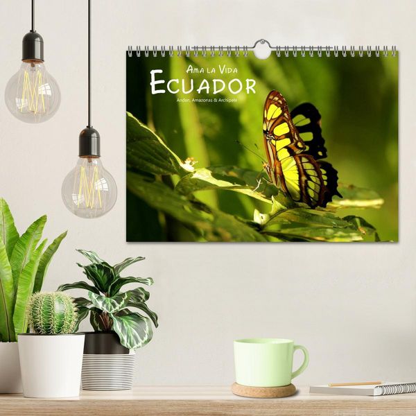 Produktbild: Ama la Vida Ecuador (Wandkalender 2026 DIN A4 quer), CALVENDO Monatskalender