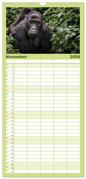 Produktbild: Familienplaner 2026 - KONGO - das dunkle Herz Afrikas mit 5 Spalten (Wandkalender, 21 x 45 cm) CALVENDO
