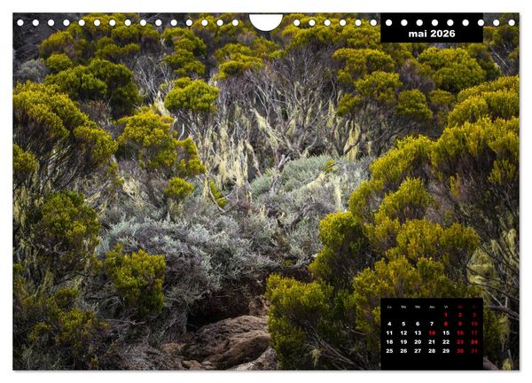 Produktbild: Paysages de l'&icirc;le de La R&eacute;union (Calendrier mural 2026 DIN A4 vertical), CALVENDO calendrier mensuel