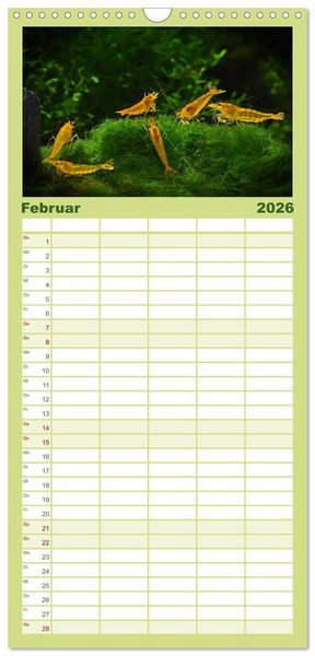 Produktbild: Familienplaner 2026 - Dwarf Shrimps mit 5 Spalten (Wandkalender, 21 x 45 cm) CALVENDO